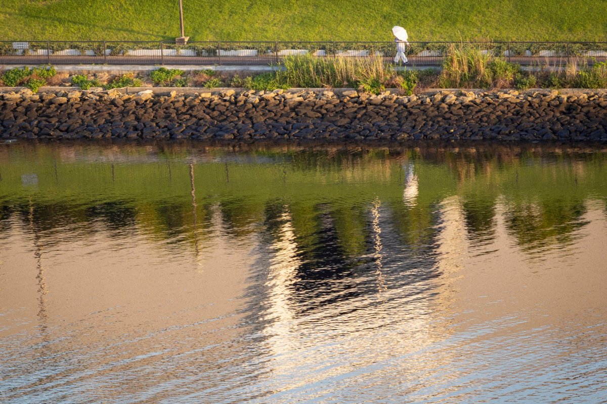 朝陽浴び