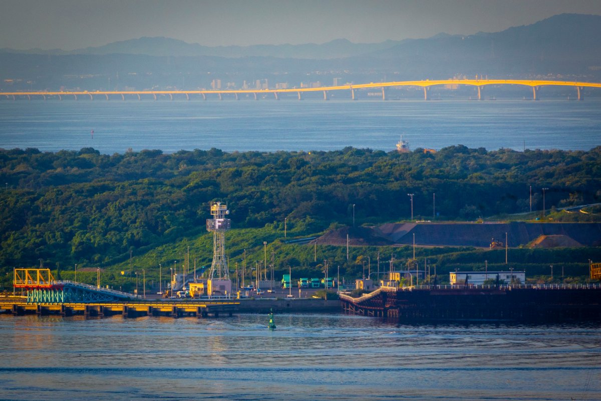 朝陽に浮かぶ