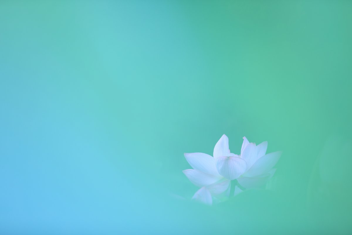 そっとのぞいてみてごらん①