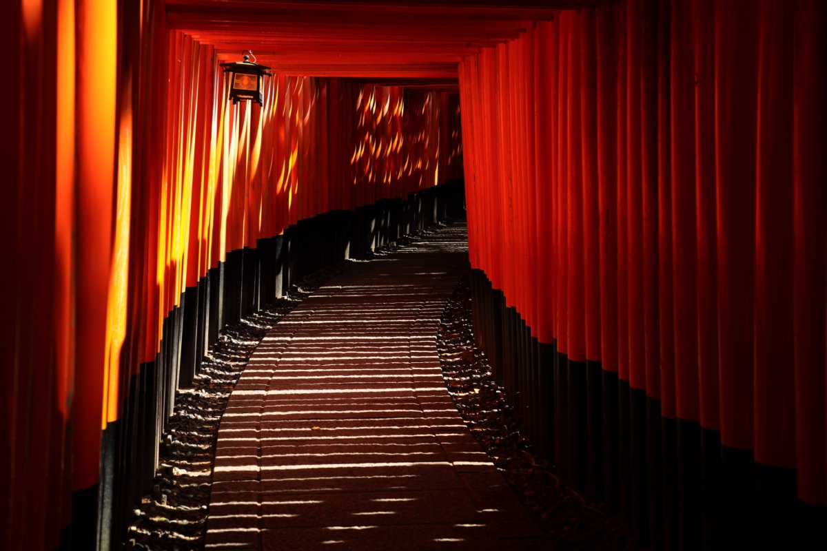導き