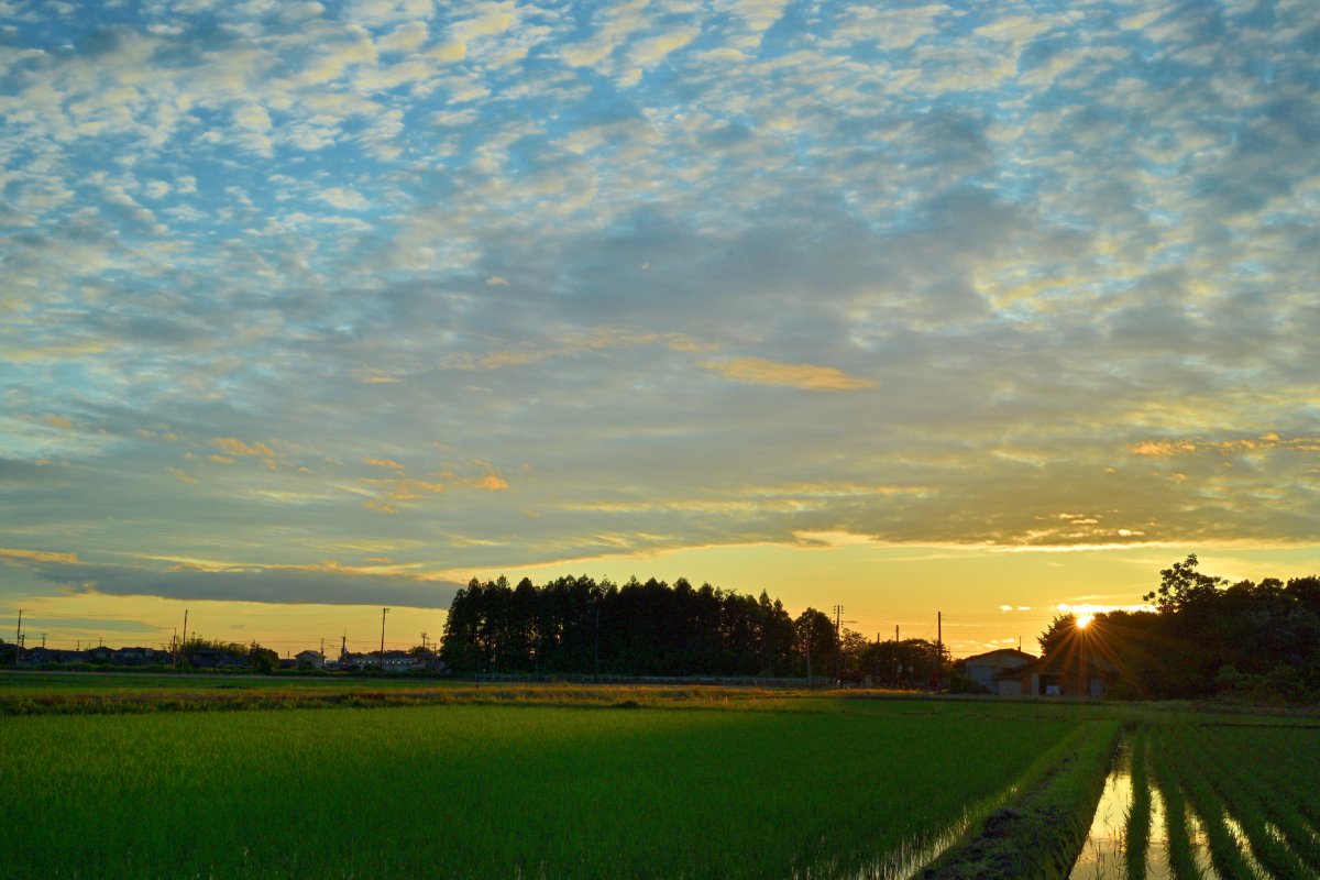 夕暮れを映す
