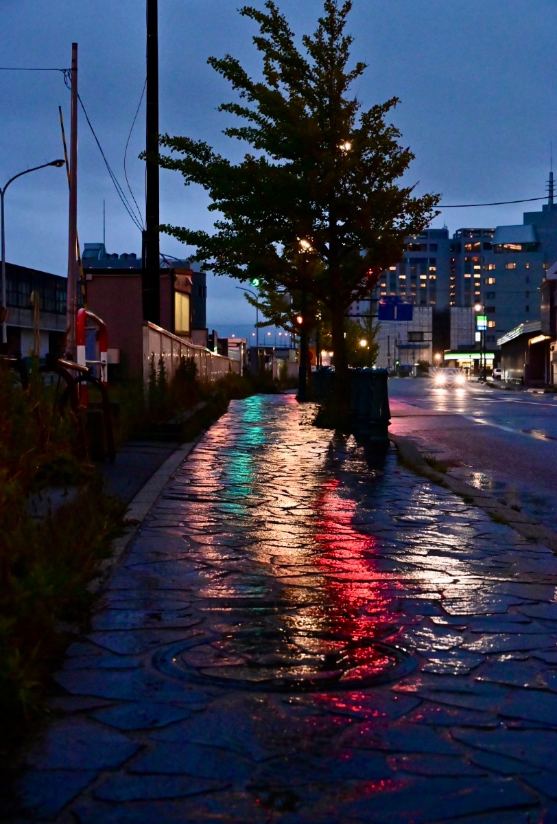 雨の夜歩き