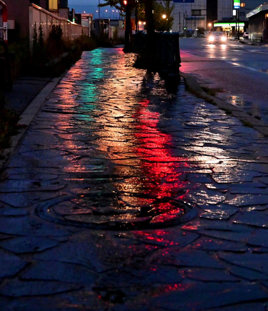 雨の夜歩き②