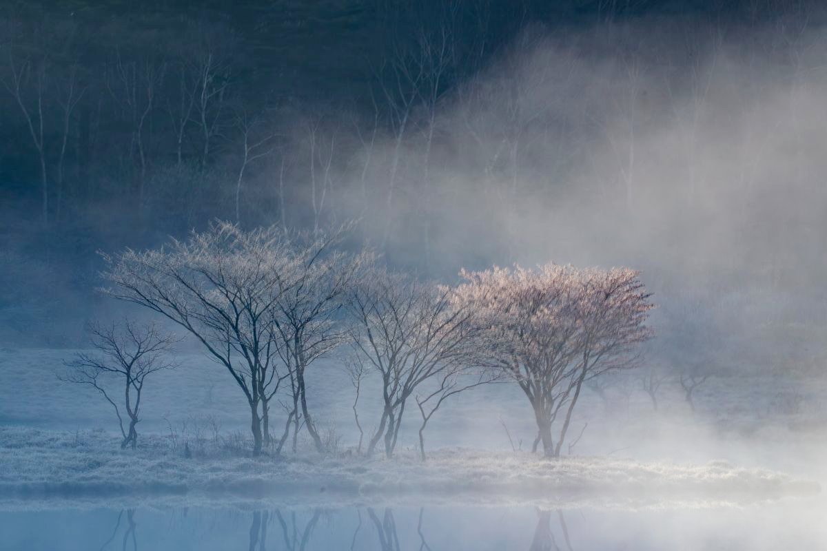 朝霧に包まれて