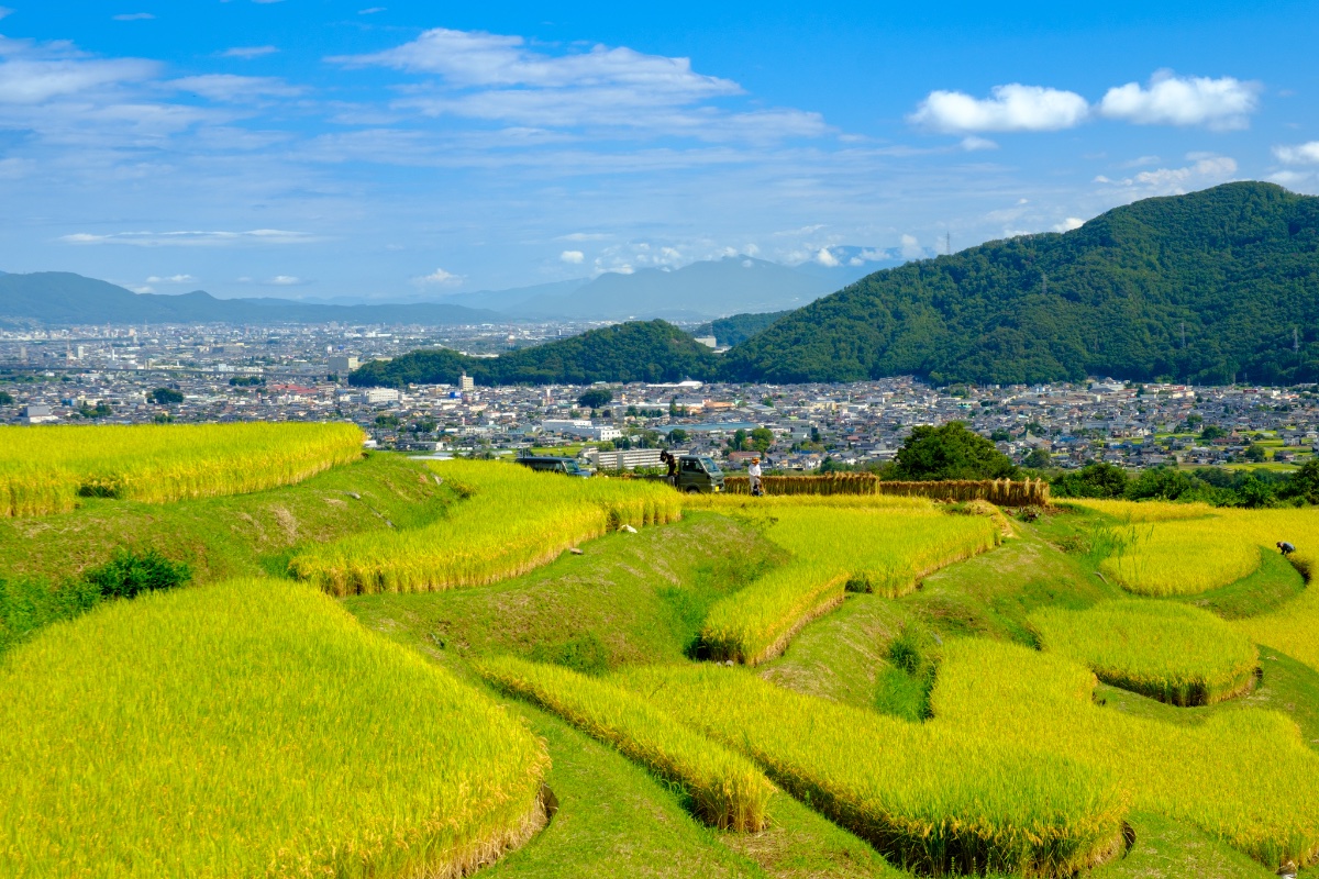 黄金の里、山懐に抱かれて