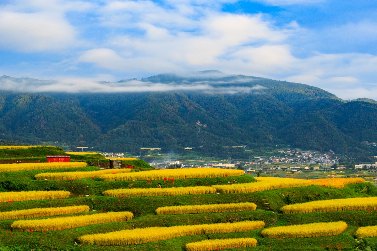 黄金の里、霧の峰
