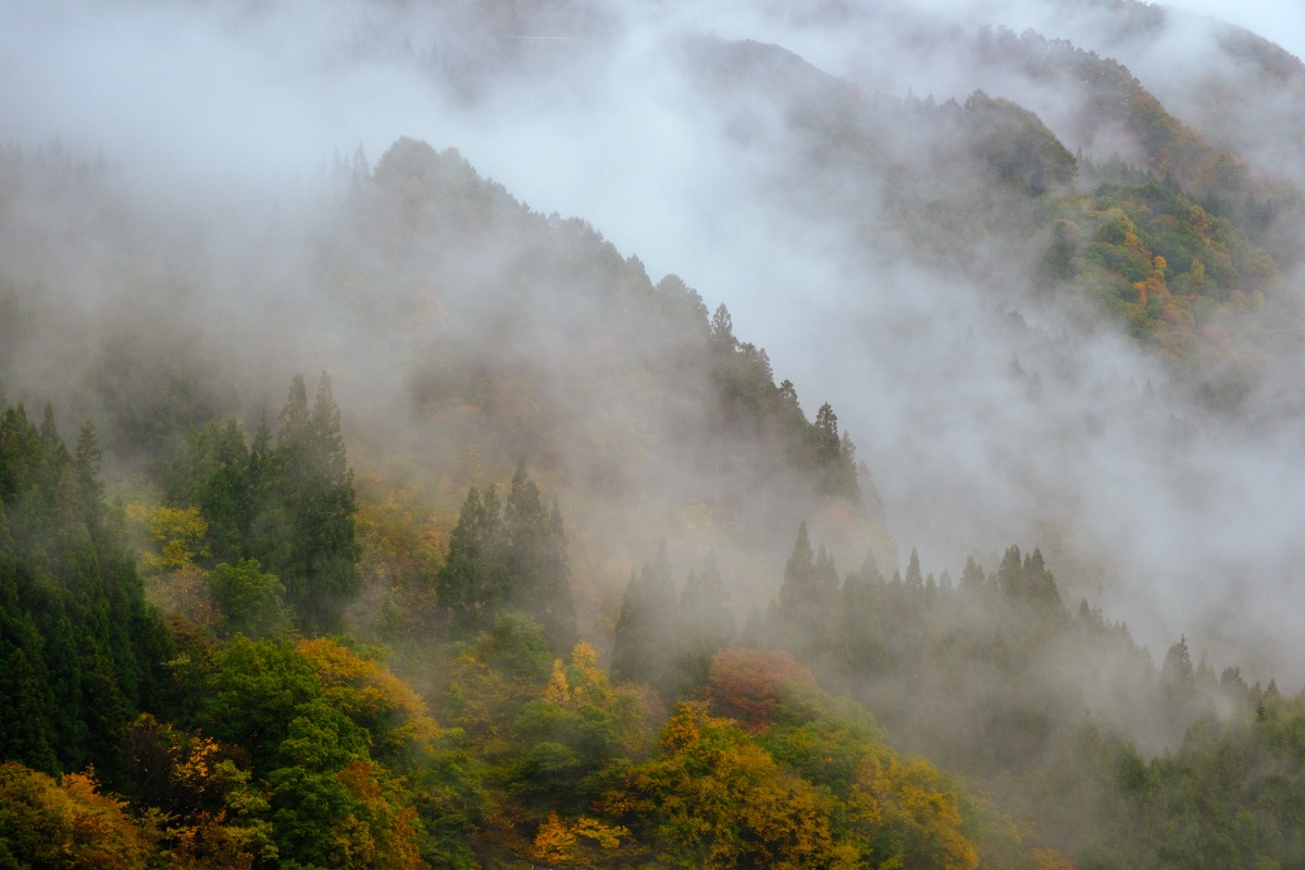 秋を抱く山