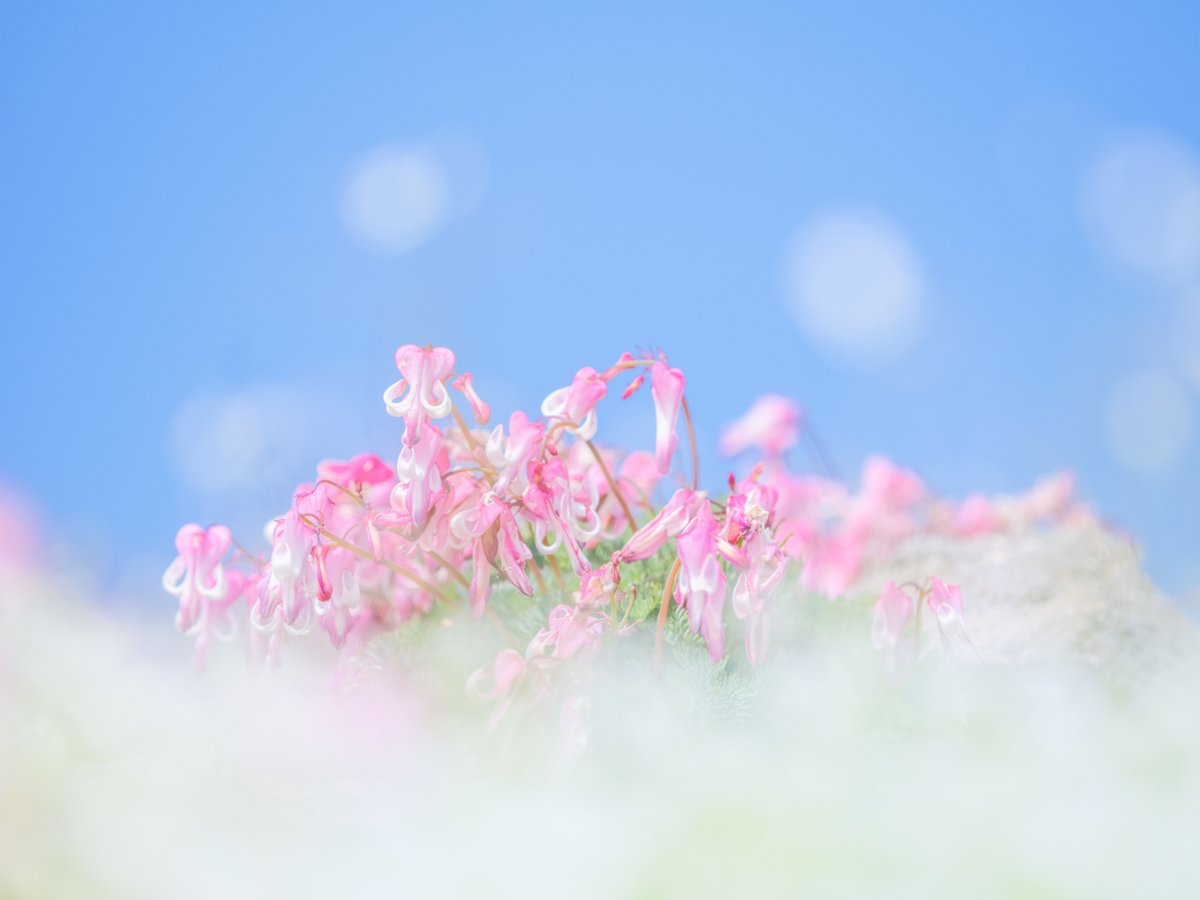 空を背に
