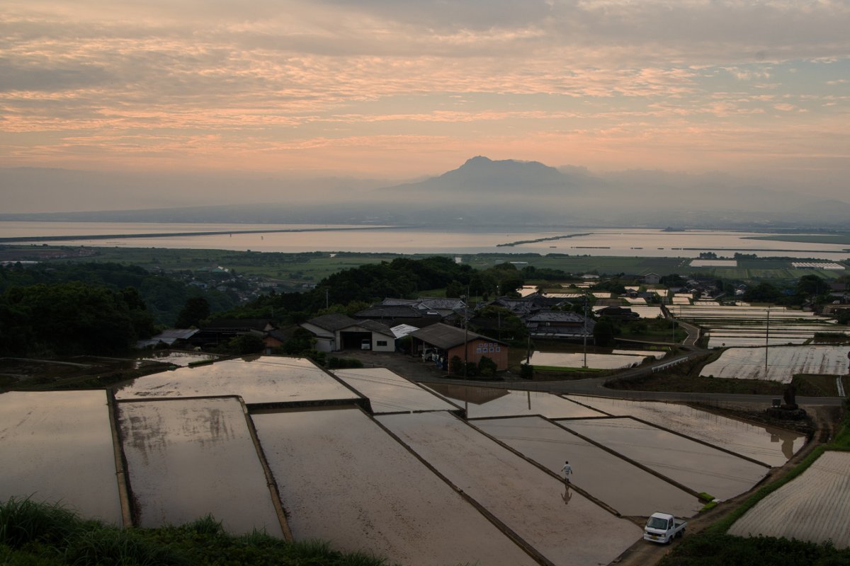 湛水