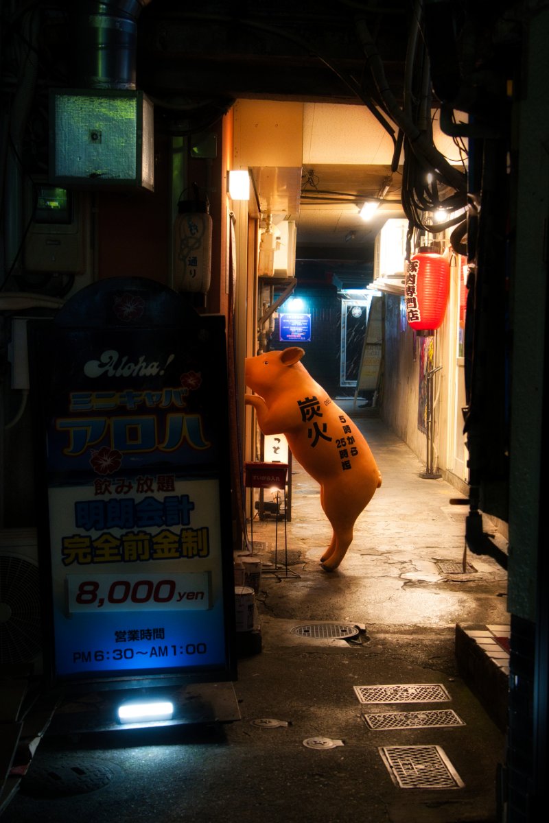 トンで火に入る・・・