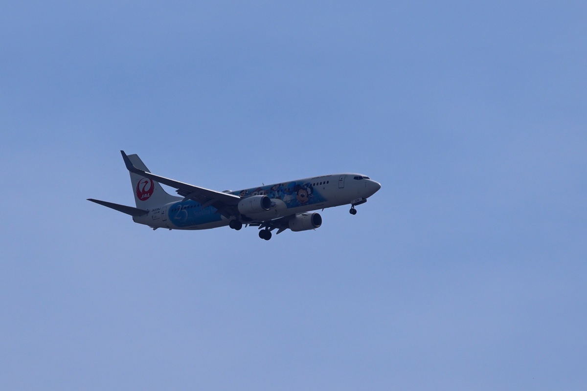 JAL Jubilee Express ②