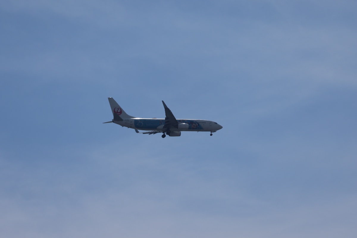 Disney ラッピング飛行機