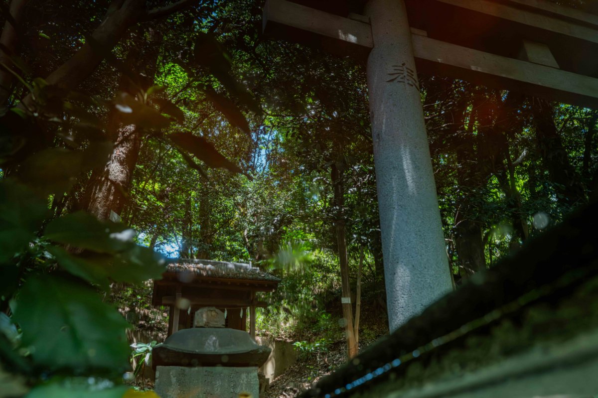 鎮守の森
