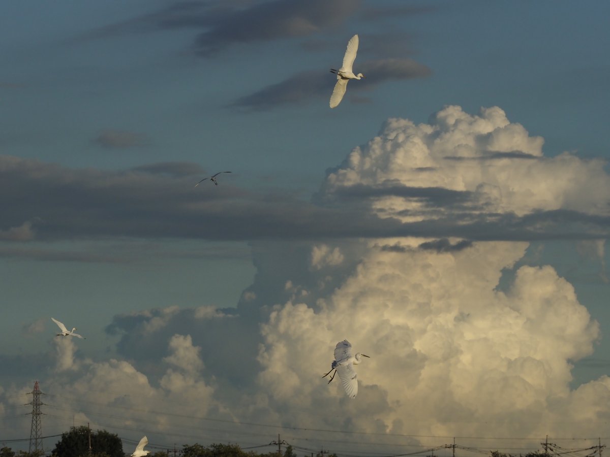 夏の名残雲