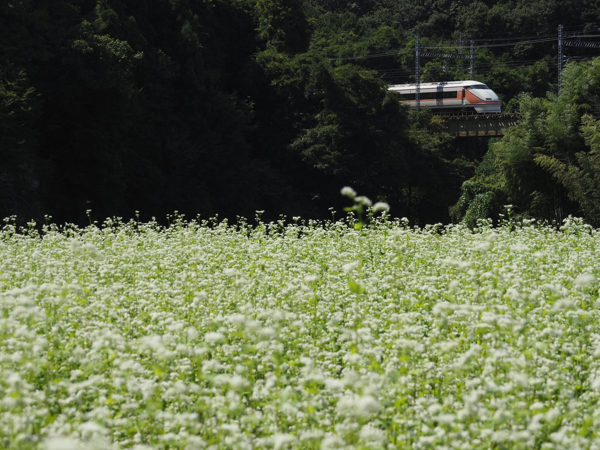 蕎麦の花とスペーシア