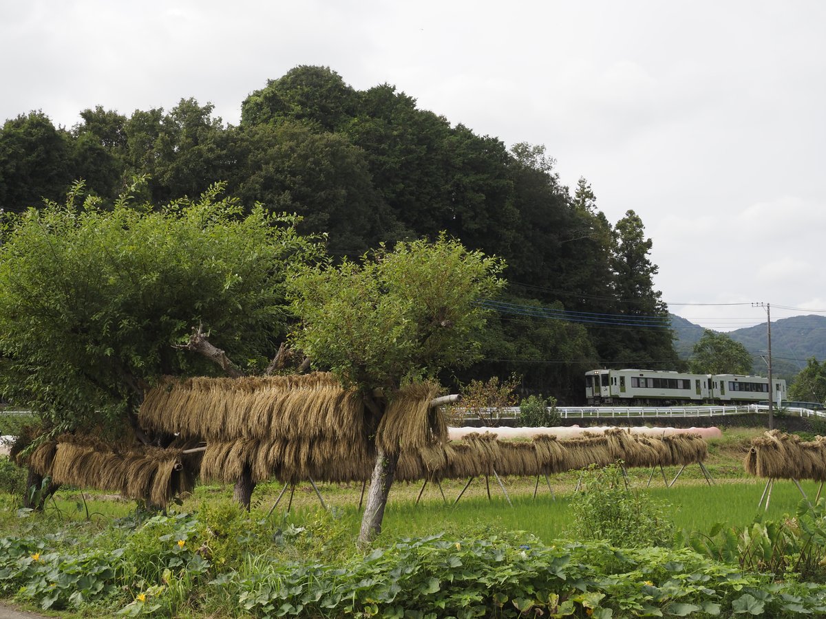 はざ木のある風景で
