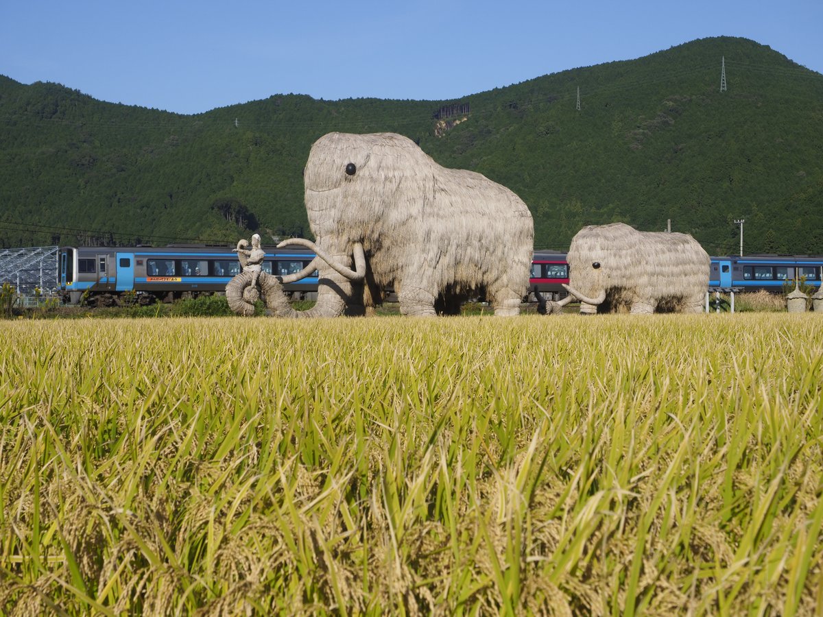豊穣の藁マンモス