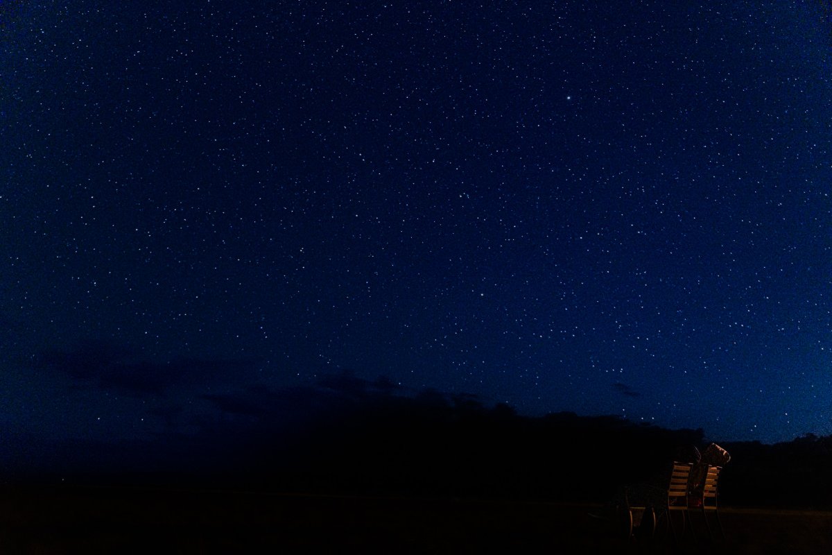 星合