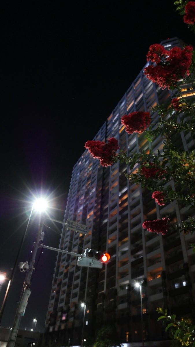 花が咲いてるなんて知らなかった