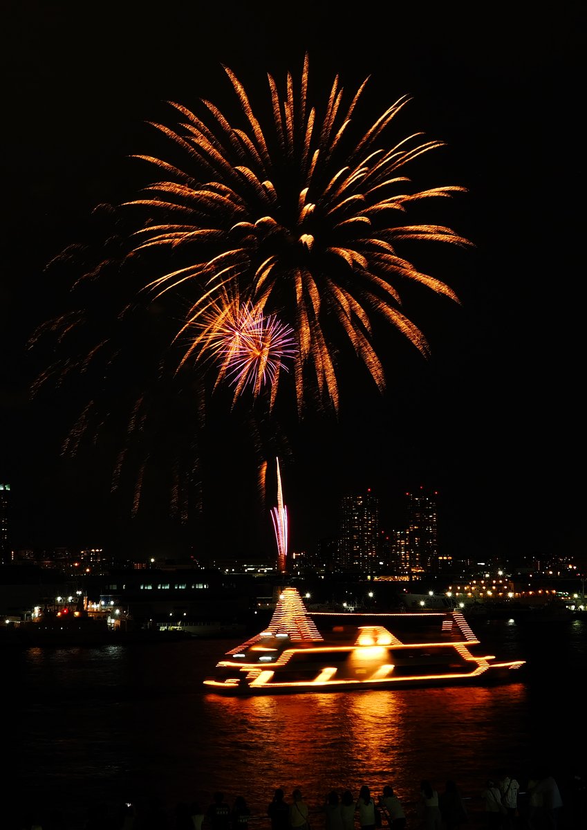 夏夜の煌めき