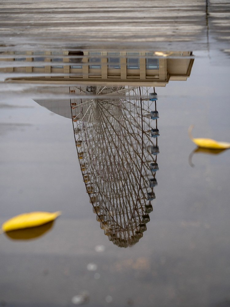 雨上がり