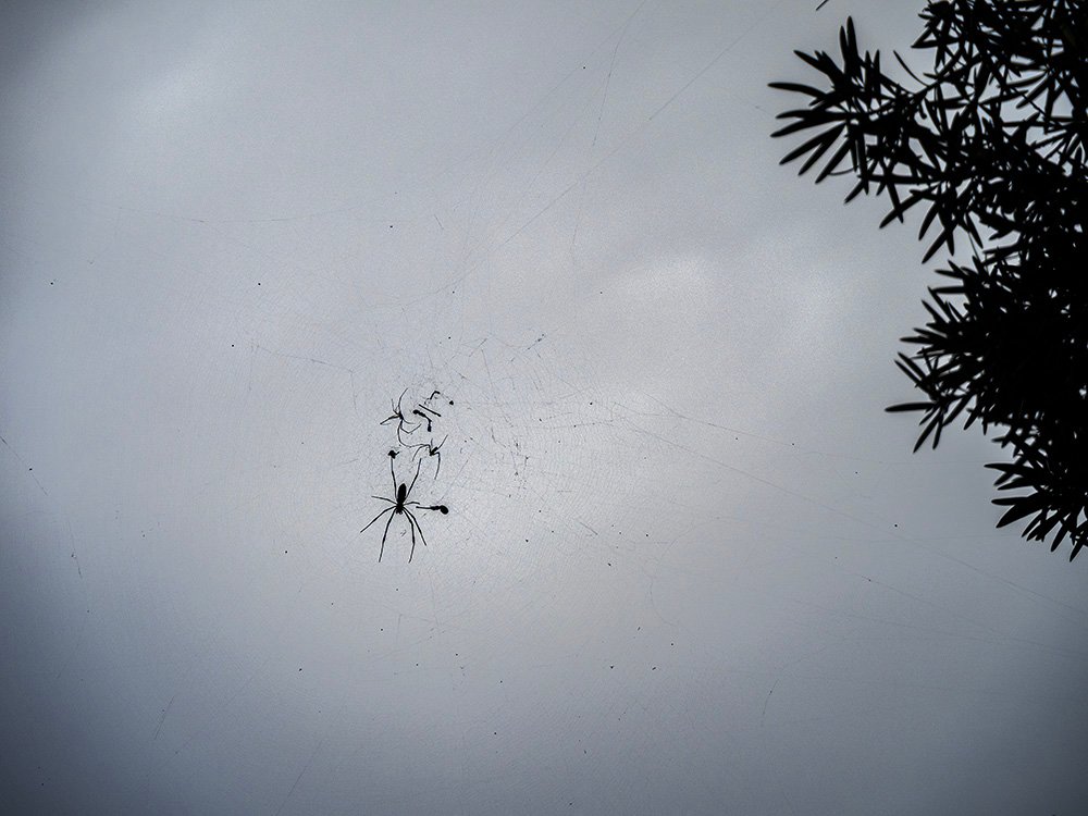 空中作業