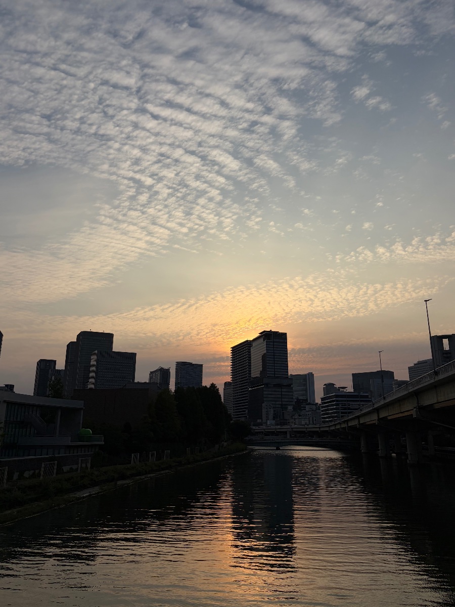 都会の夕景