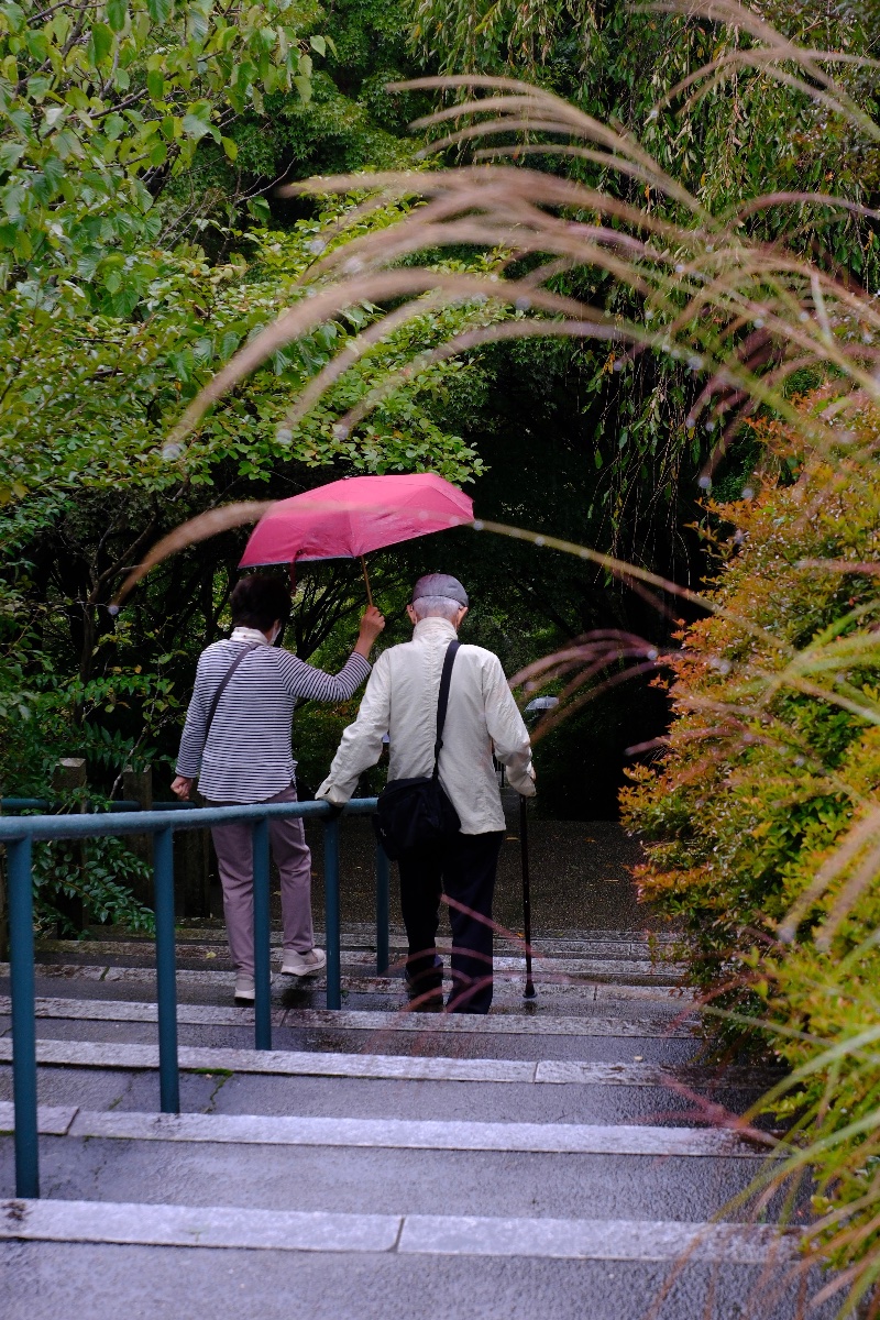 秋雨をともに