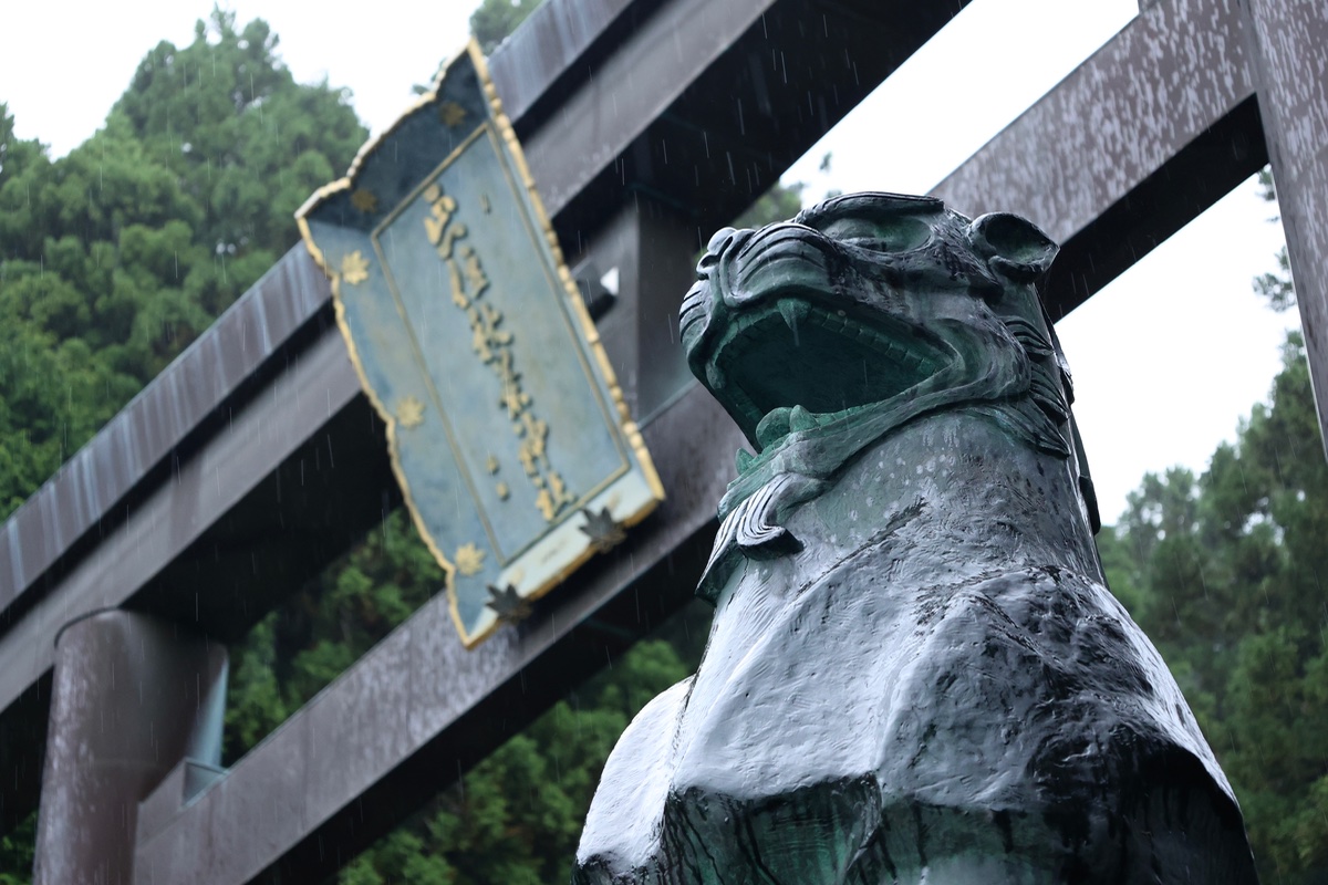雨にも負けず
