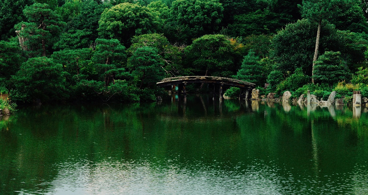 静寂の緑