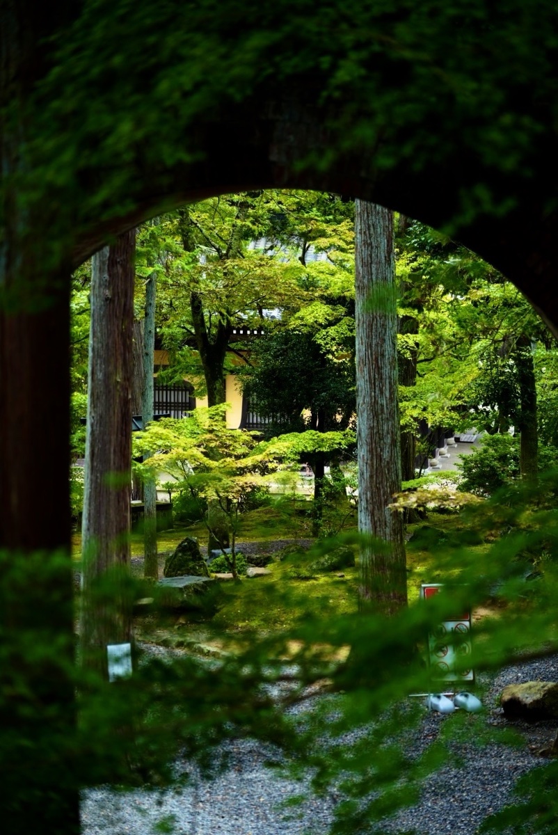 緑の窓