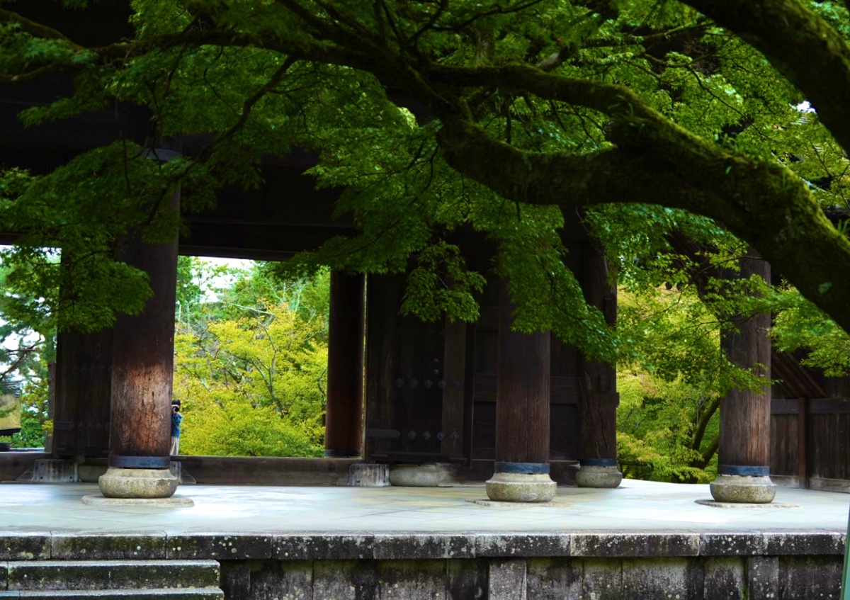 和の舞台