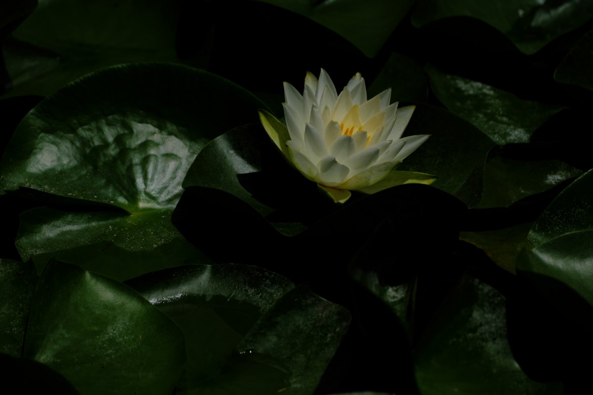 終焉