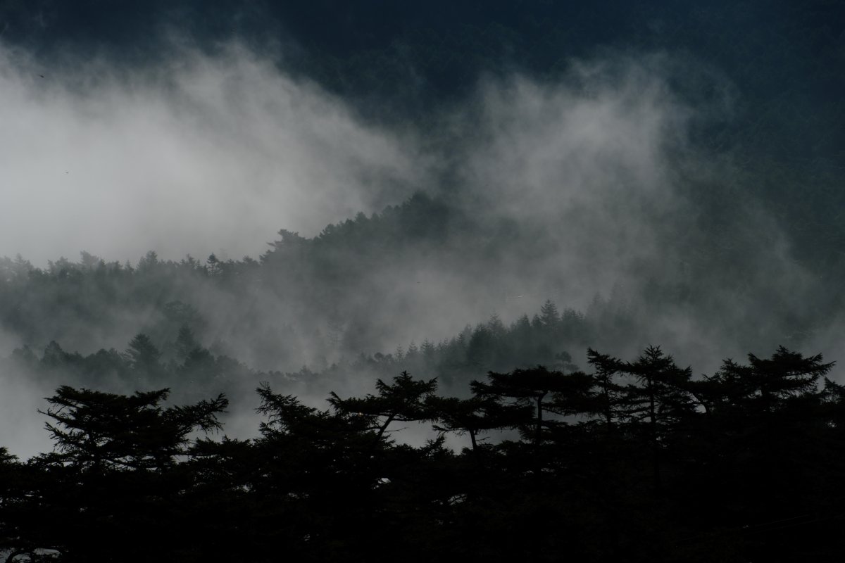 山の目覚め