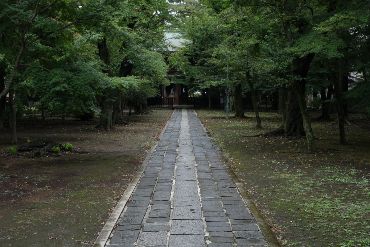 雨上がりの古刹