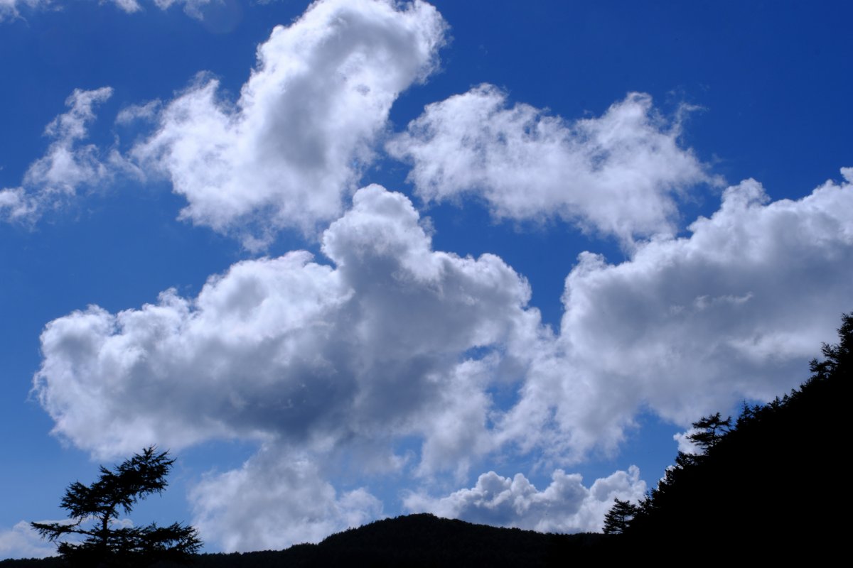 夏の空