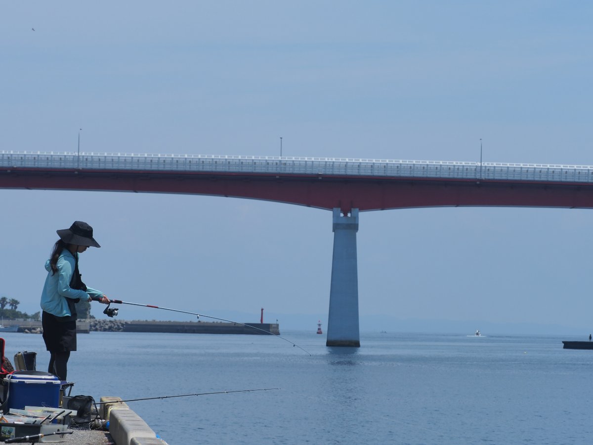 朱の帯、青の調和