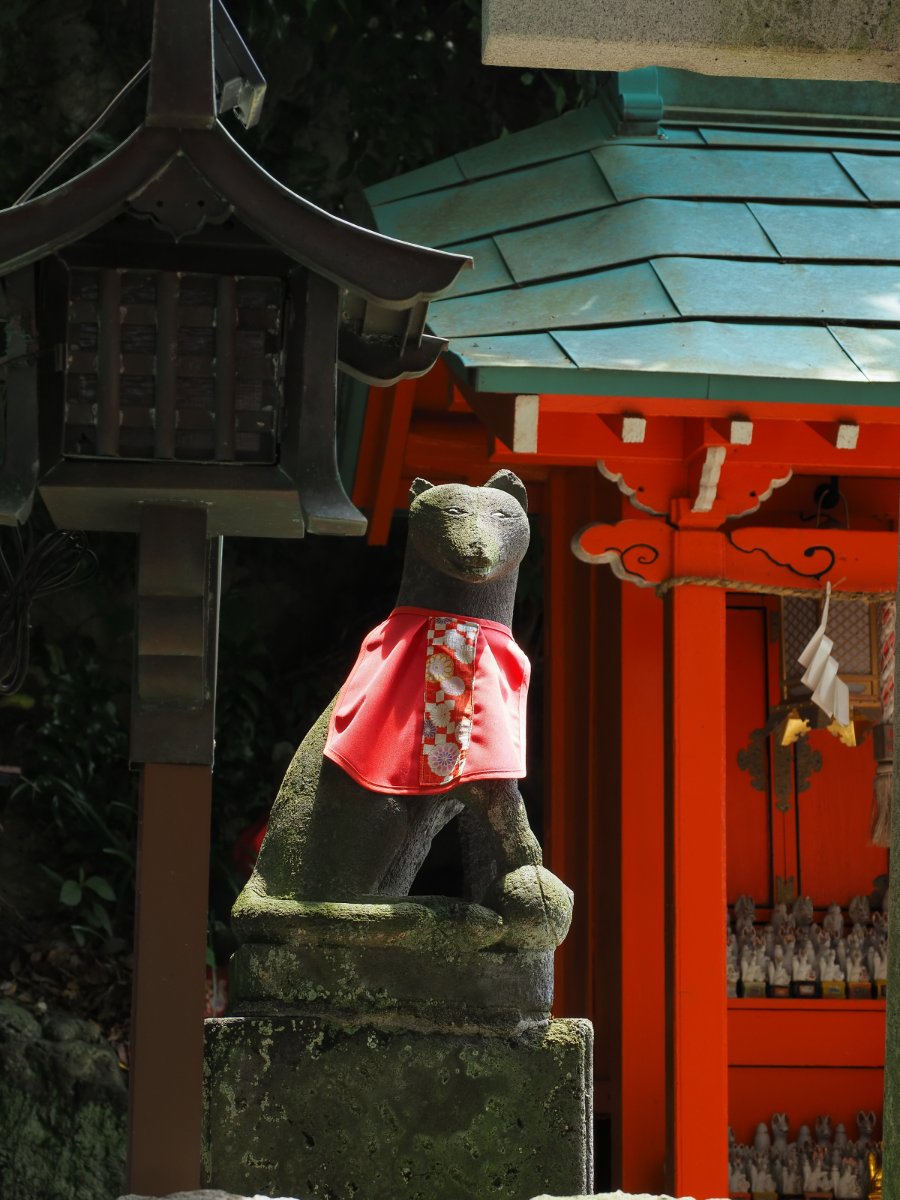 神域の眼差し