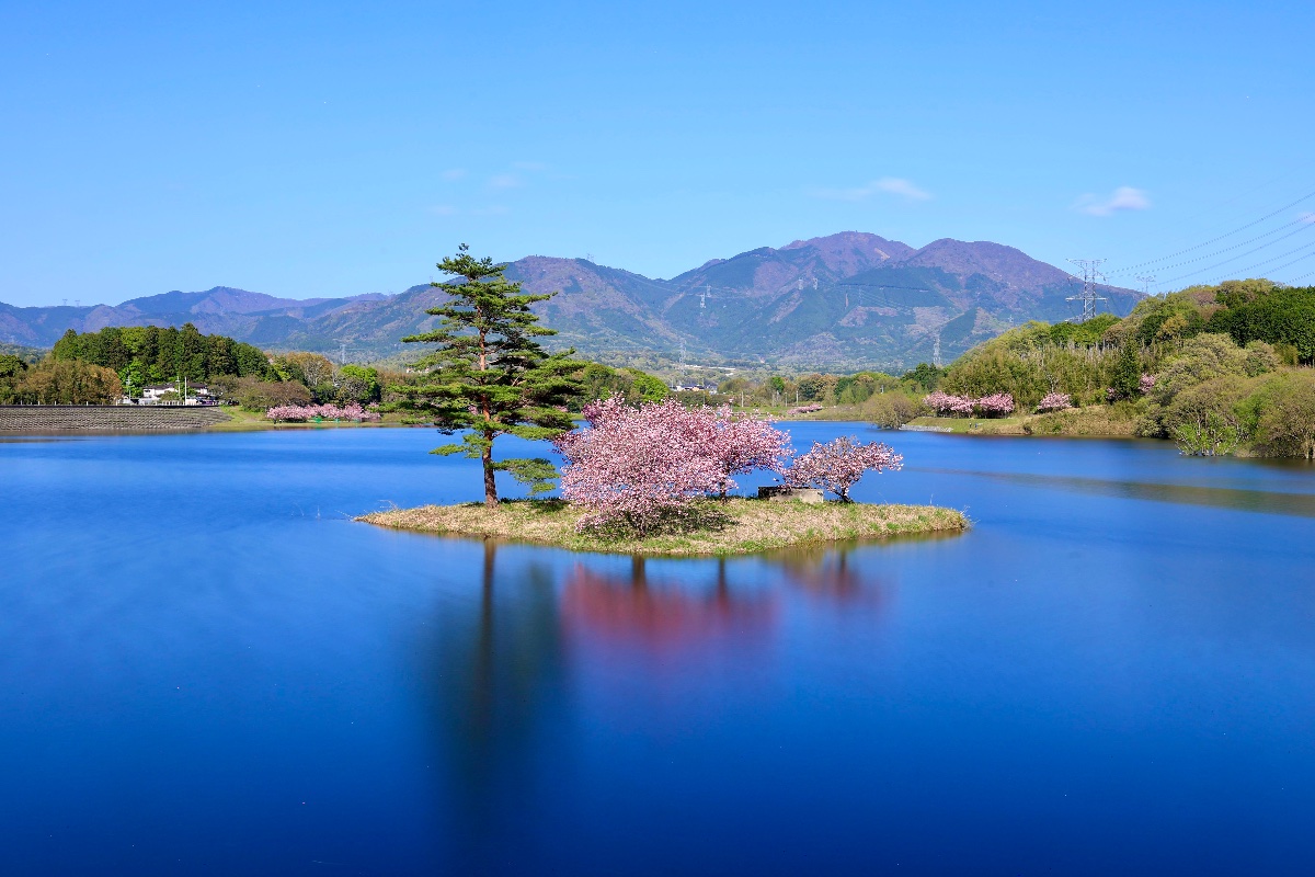 春の装い