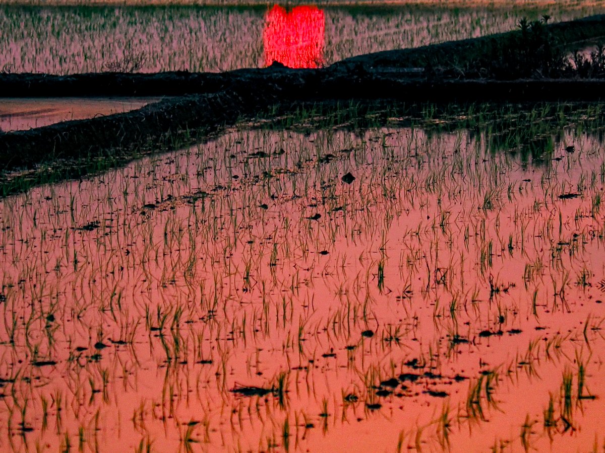 燃える夕暮れ