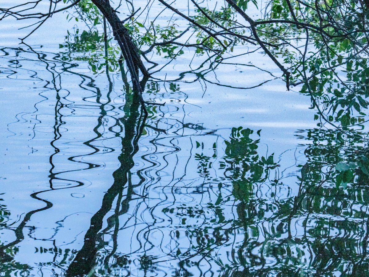 水面の揺らぎ