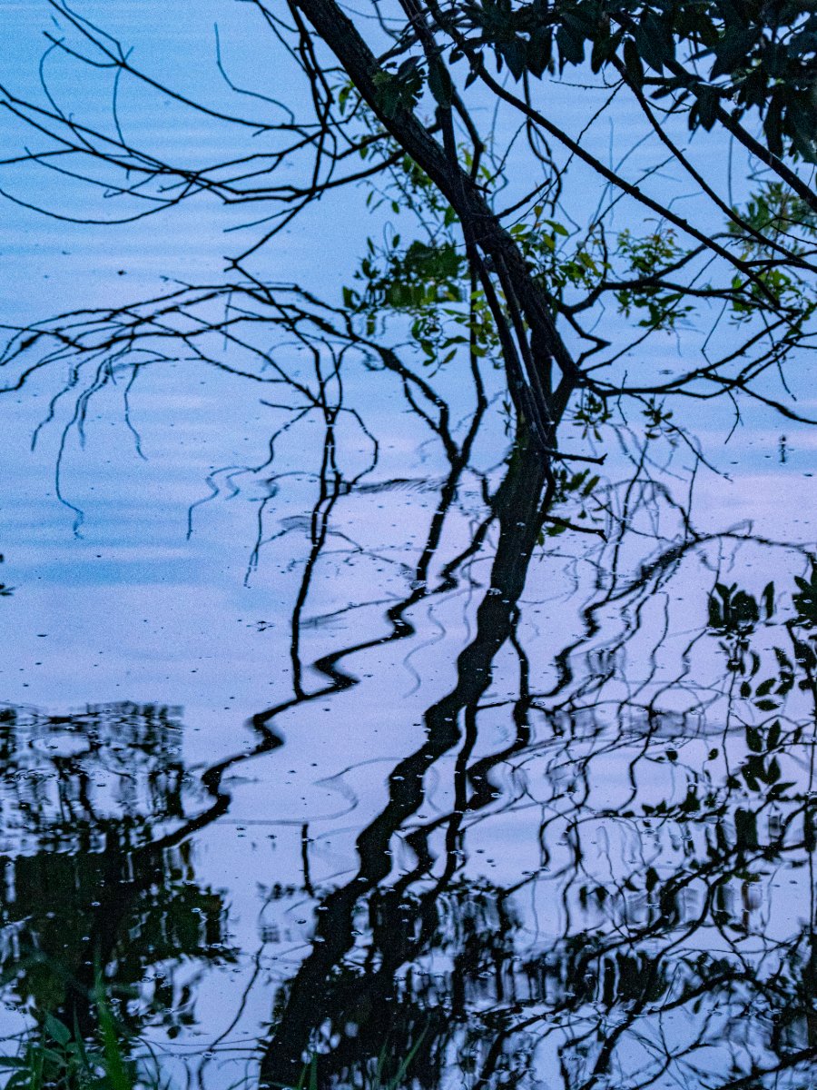 水面の揺らぎ②