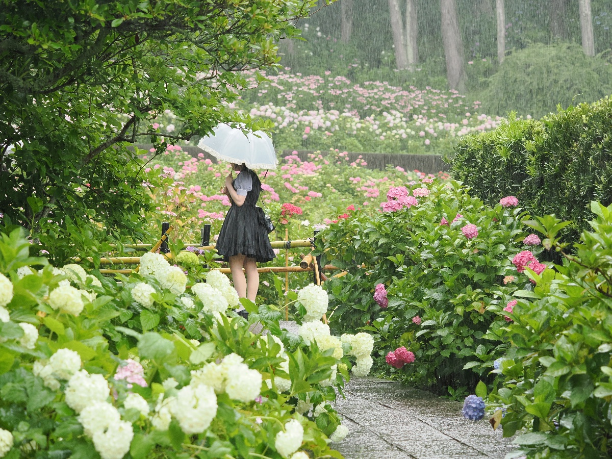 雨の中の少女