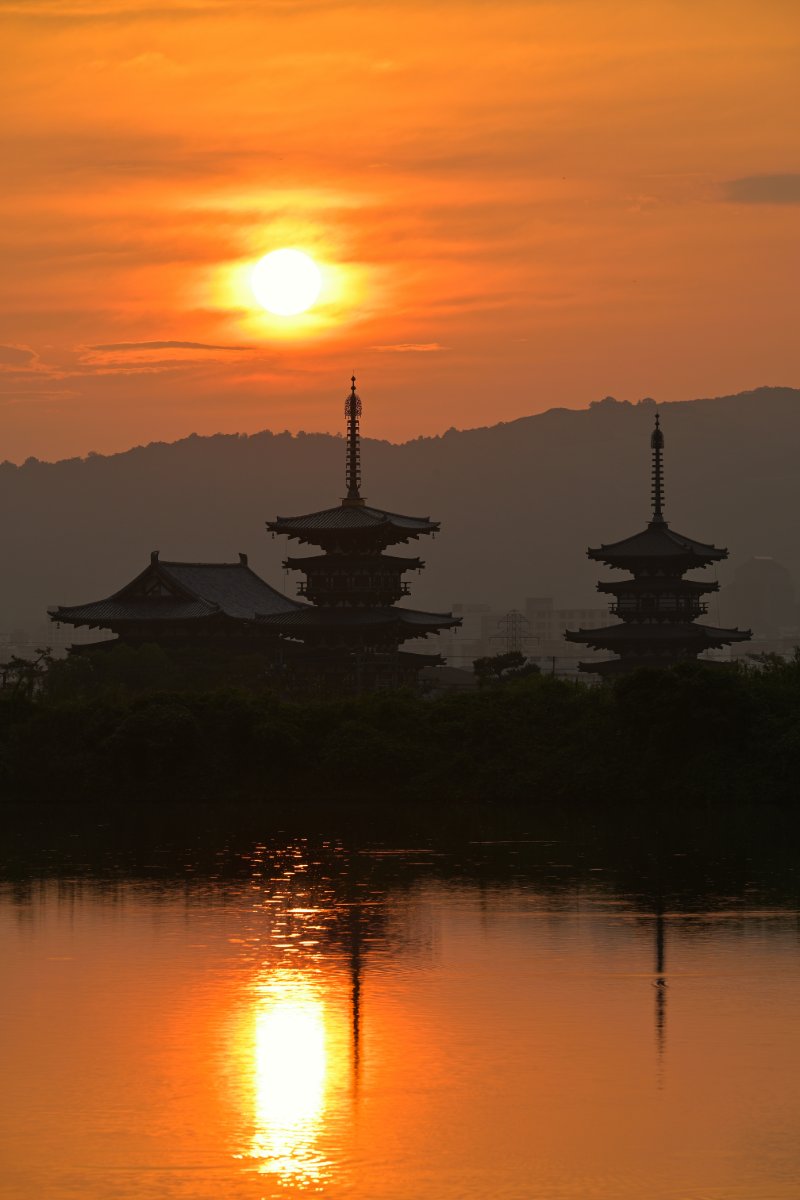 夏朝陽