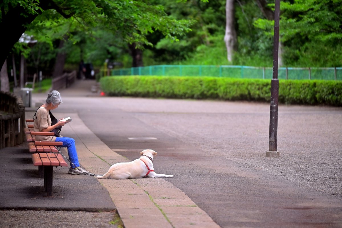 時の寄り道